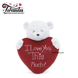 Regalo oso de peluche con corazón de San Valentín para el día de los enamorados