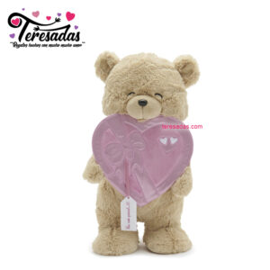 Regalo oso de peluche de San Valentín para el día de los enamorados